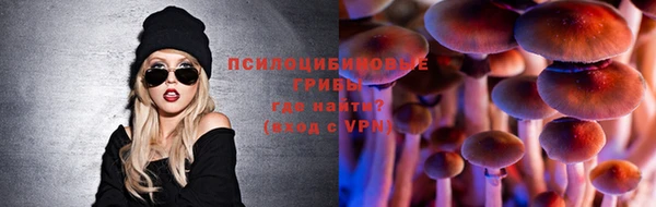 дмт Медвежьегорск
