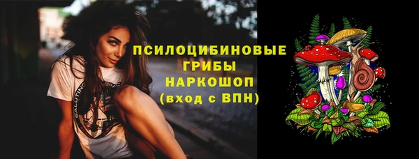 спиды Медногорск