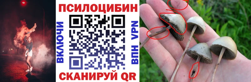 Галлюциногенные грибы прущие грибы  Купить где  Пласт 