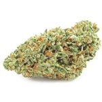 Шишки OG Kush  (Гидропоника, бошки) VHQ в Пласте
